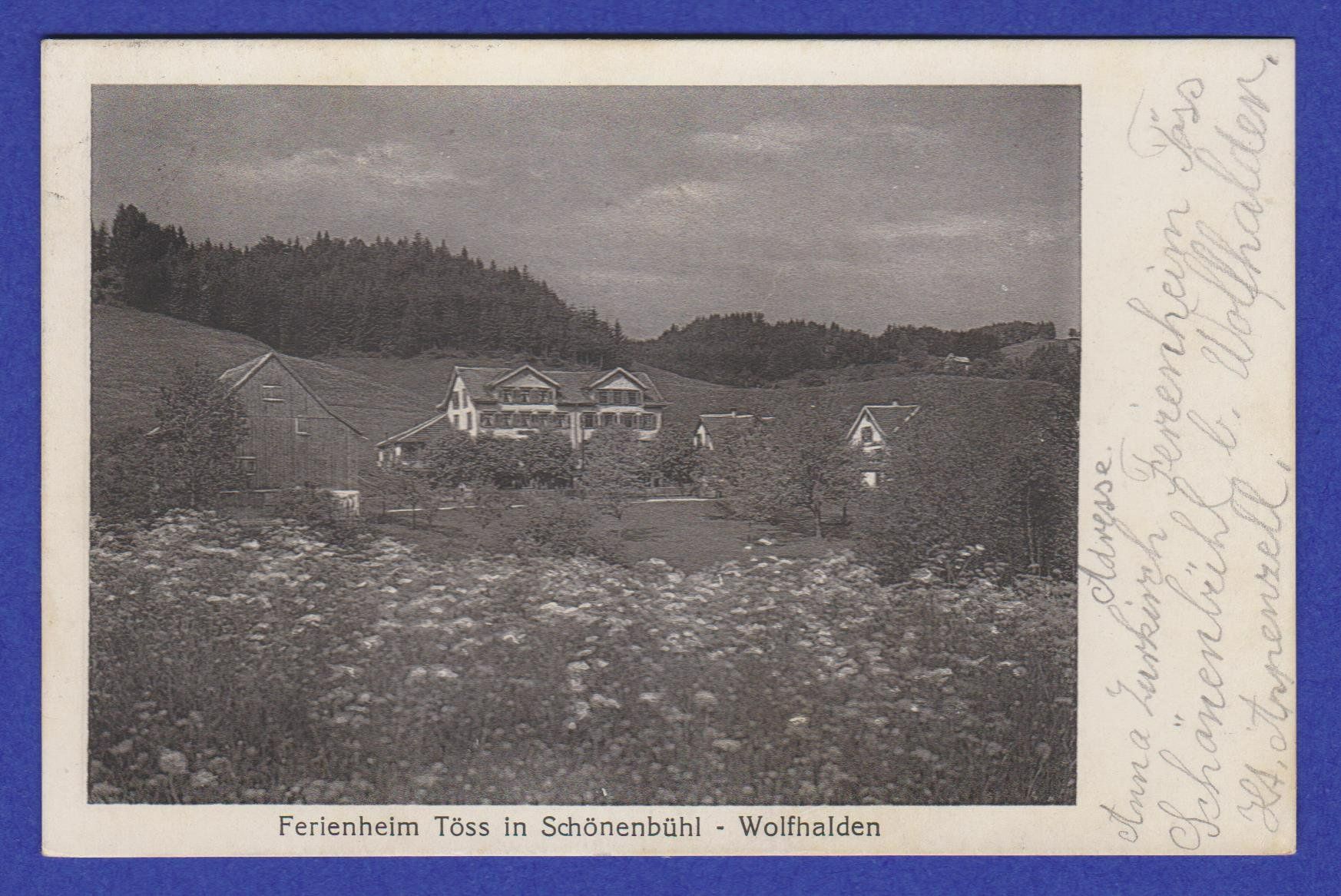 Cartoline postali: Schönenbühl - Wolfhalden  .  3 alte Ansichtskarten 1910/20er – Usato da Vitznau venduto da Ropaku 2