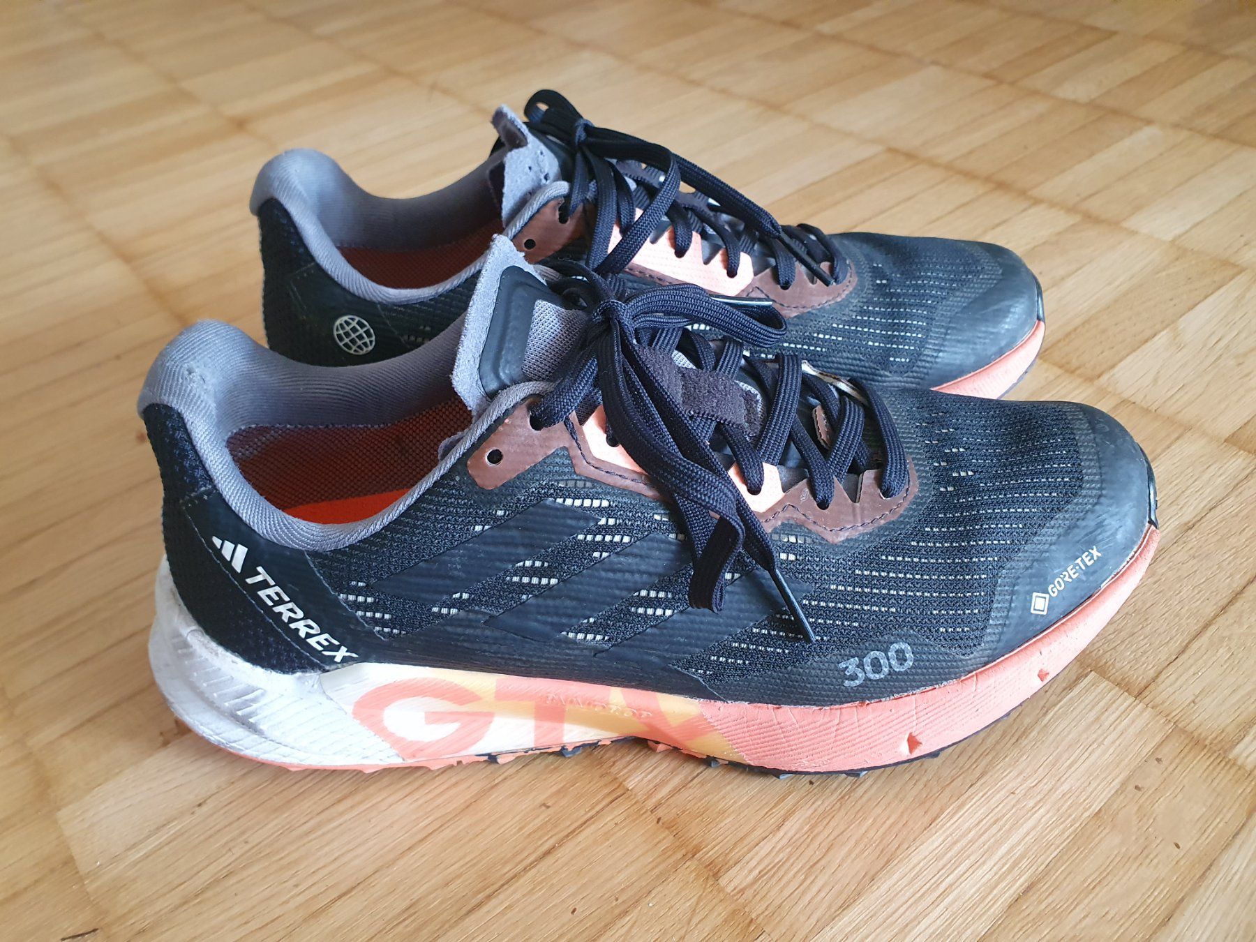 Adidas Scarpe da donna: Terrex Trailrunning Goretex Schuhe – Usato da Mettmenstetten venduto da carnau84