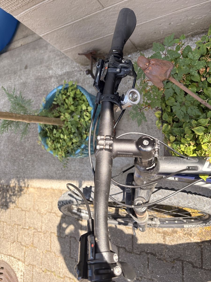 Wheeler Biciclette: Mountainbike Wheeler Eagle 420 MTB schwarz – Usato da Gelterkinden venduto da Bearick 5