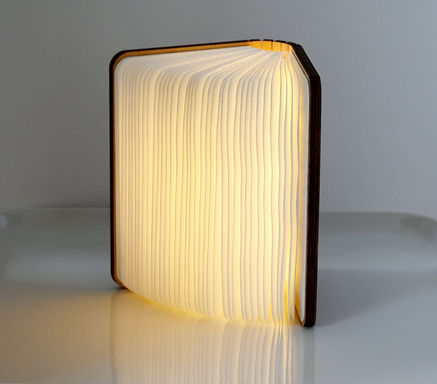 Lampade: Smart Book Light von Gingko – Nuovo (secondo la descrizione) da Bern venduto da Mydogonline 2