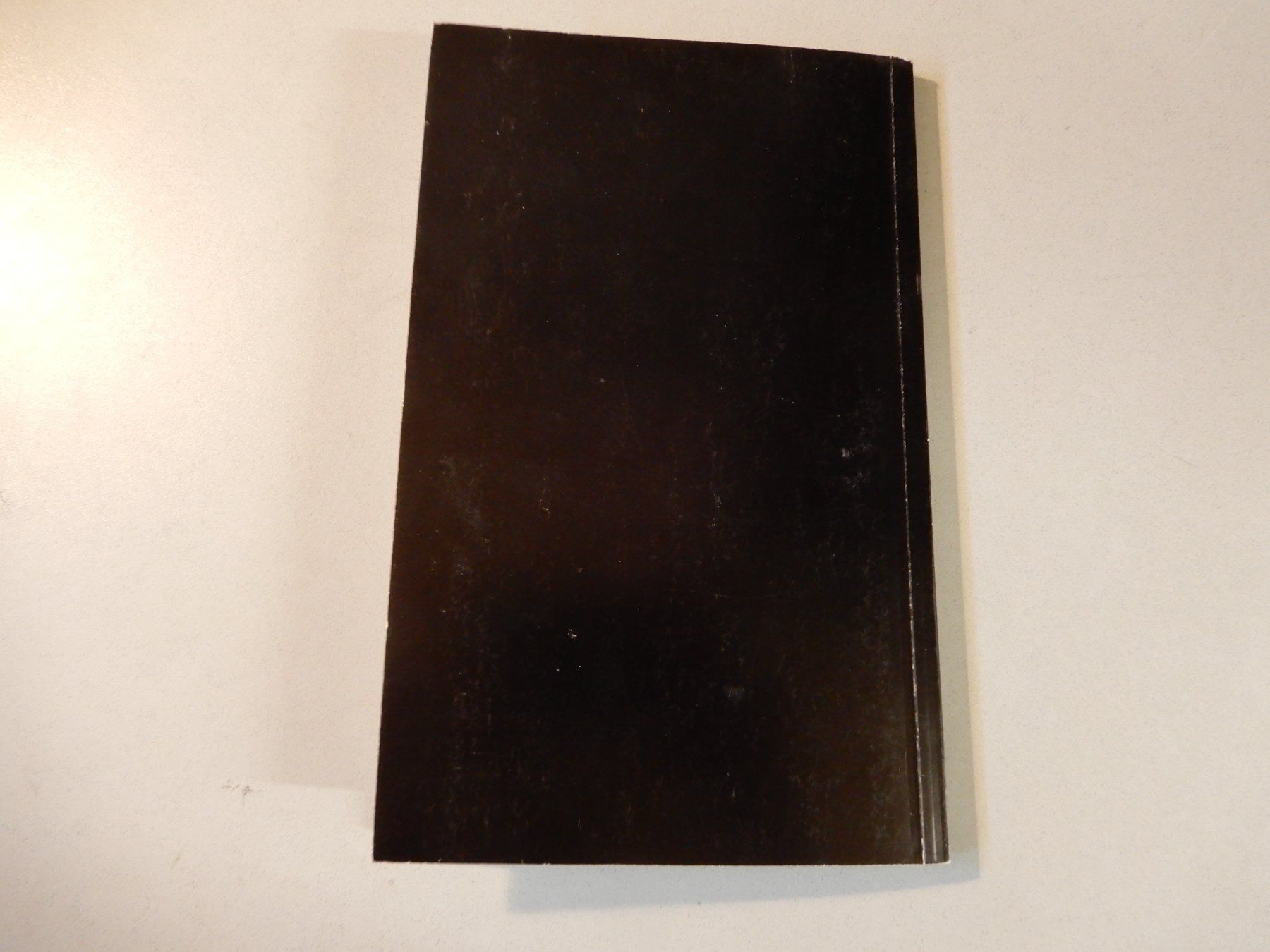 Libri: Schauspielhaus Zürich Programmheft Friedrich Hebbel- Judith – Usato da Erstfeld venduto da Mario_boe0 9