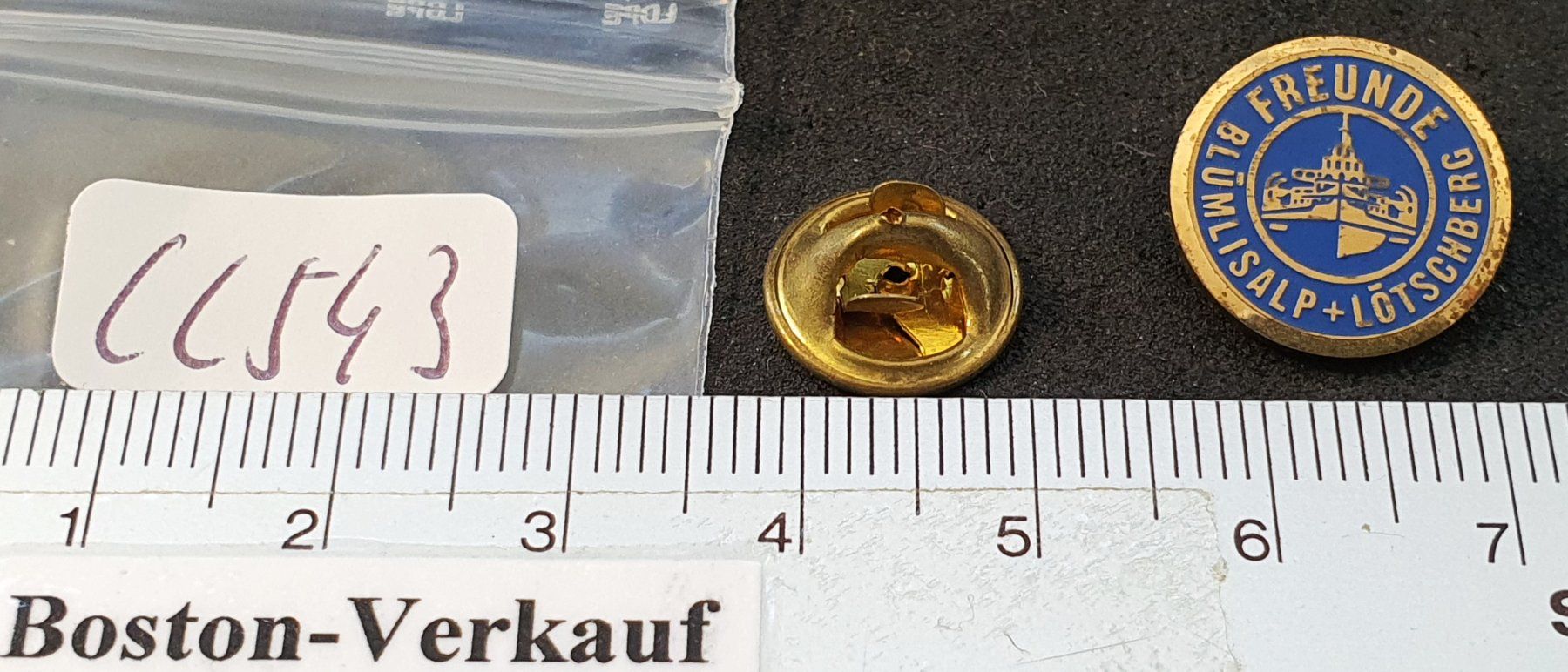 Placchette & Badge: CC543 - Pin Blümlisalp + Lötschberg Dampfschiff Freunde – Usato da Reinach BL venduto da Boston-Verkauf 1