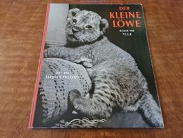 Der kleine Löwe