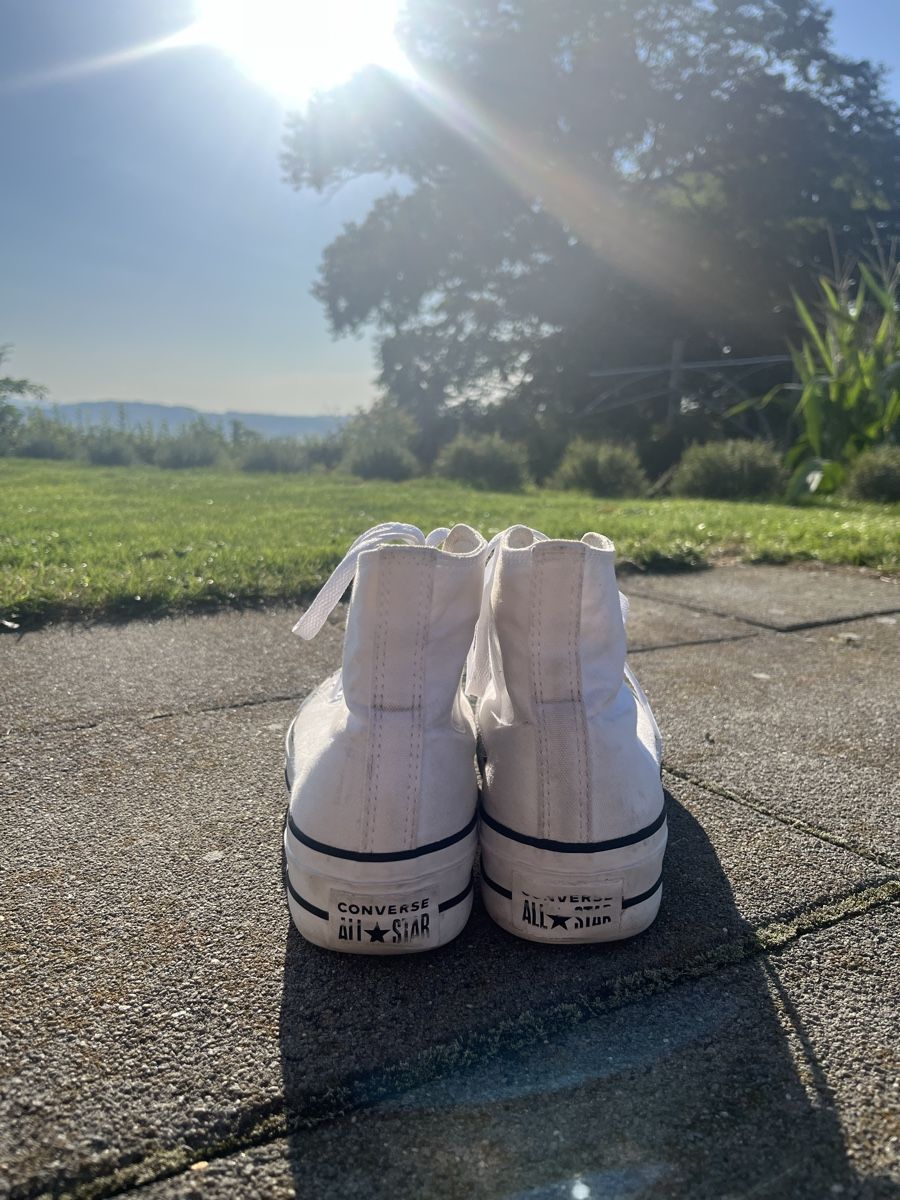 Scarpe da uomo: Converse Chuck Taylor All Star Gr. 39 – Usato da Sempach venduto da booksterxo 1
