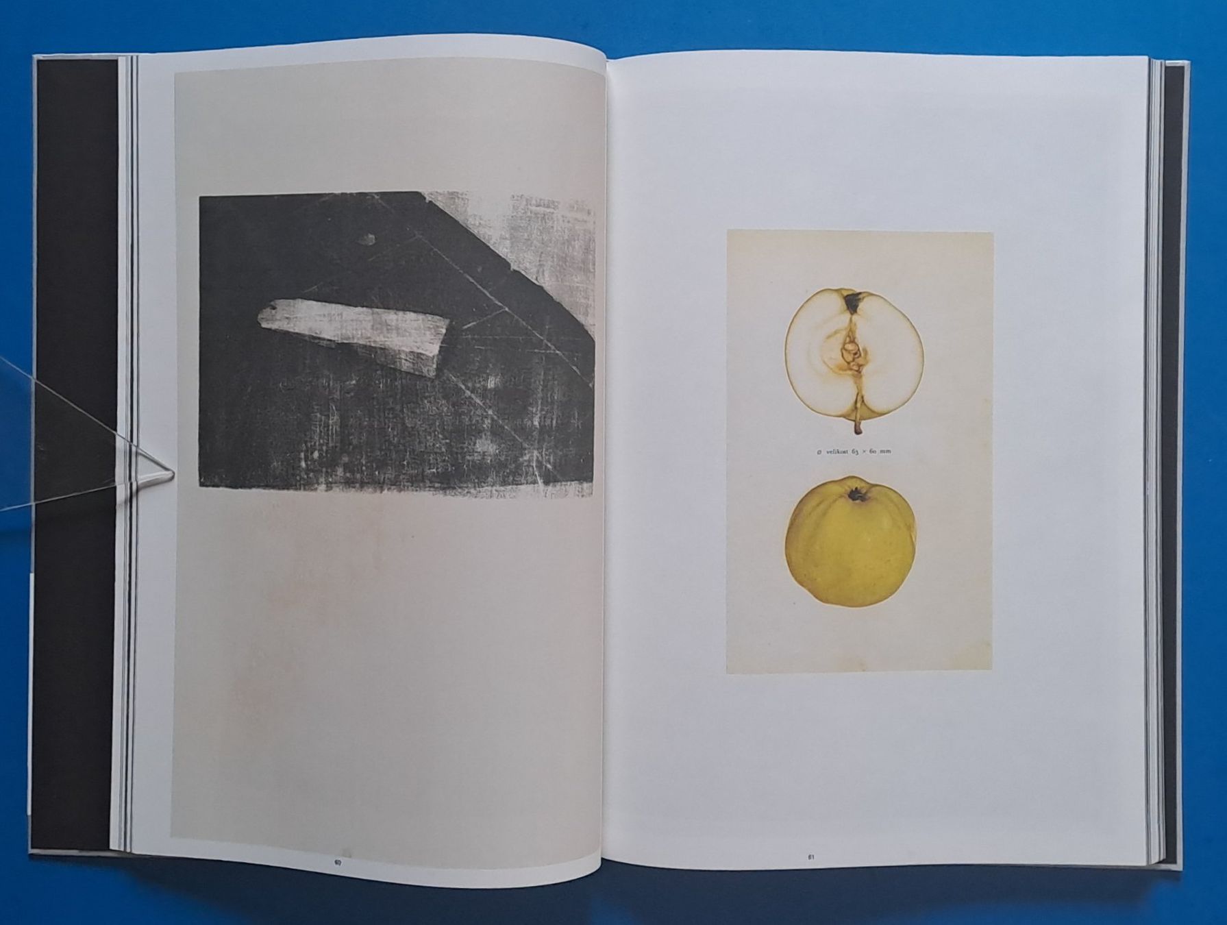 Livres: Tatjana Erpen: empty fire in my phone. EA 2019 d/e codax – D'occasion à Zürich par archiphil 4