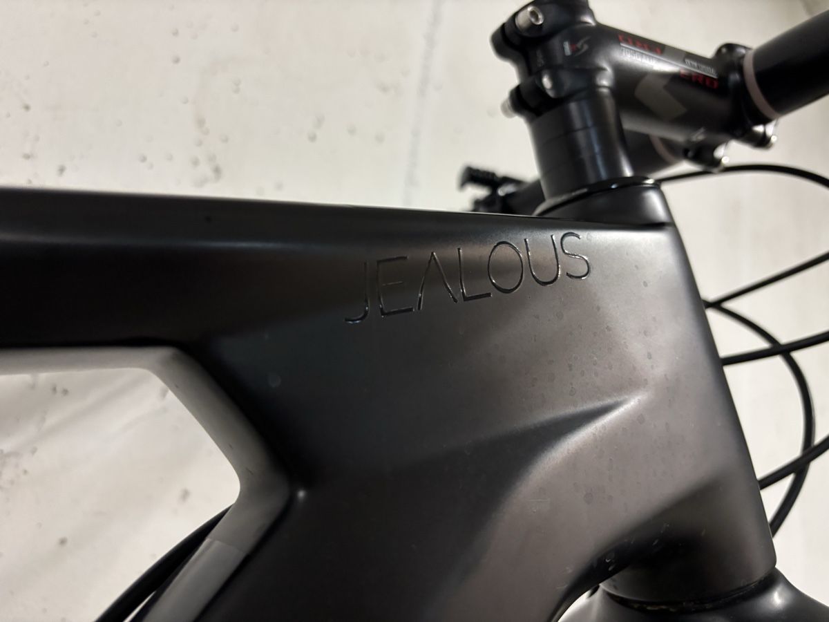 Radon Biciclette: Radon Jealous Hardtail 29 Zoll – Usato da Grosswangen venduto da hotfeuerstein 4