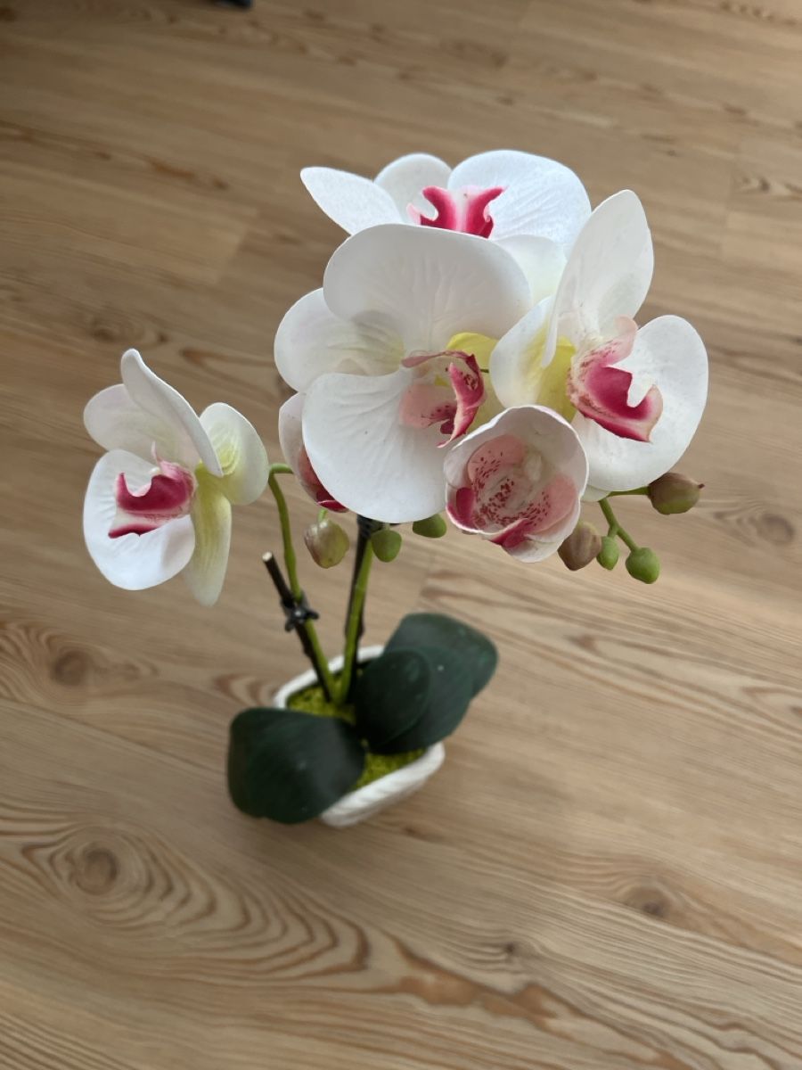 Tutte le decorazioni: Orchidea artificiale bianca e rosa in vaso decorativo – Usato da Bever venduto da anj_8lxr