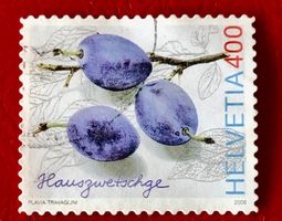  Nr.1213  Hauszwetschge GESTEMPELT    Siehe Original Fotos