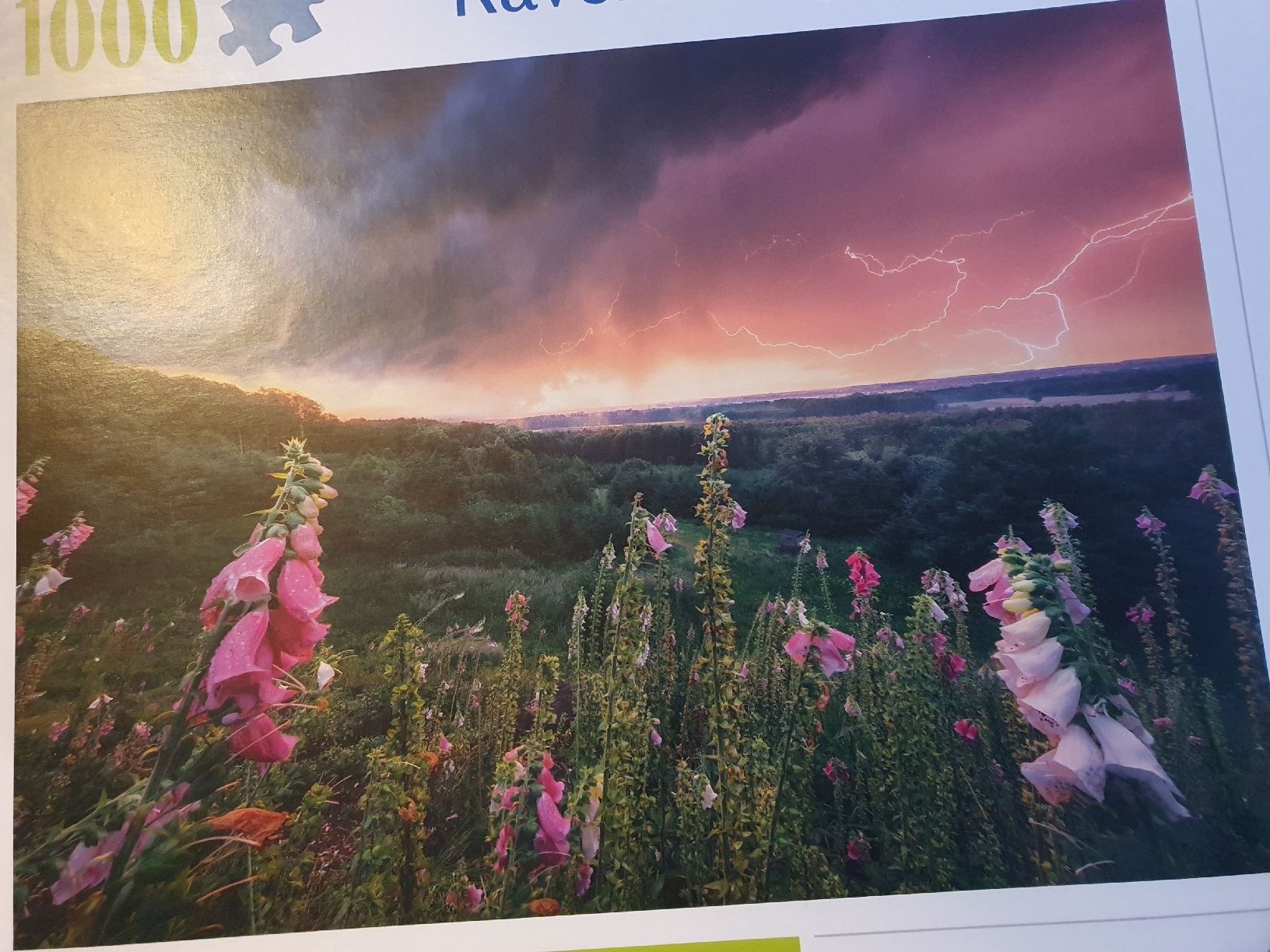 Ravensburger Puzzle: Puzzle 1000 Teile – Nuovo (secondo la descrizione) da Fischingen venduto da nad_fxf2 2
