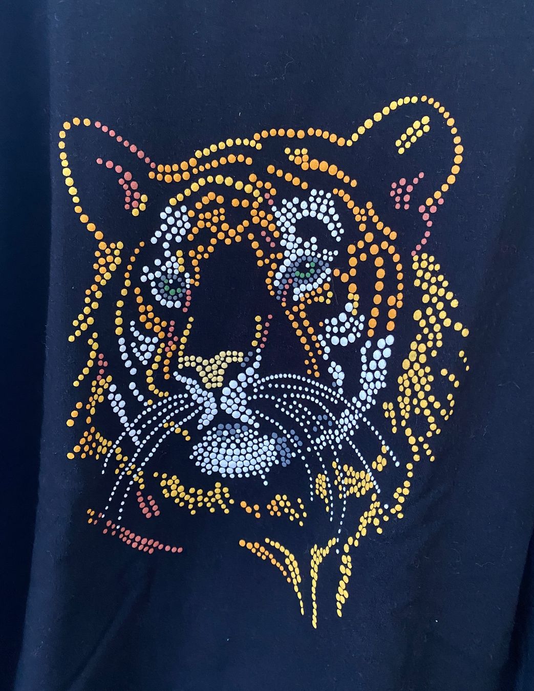 We Pullover & Sweatshirts: Pullover 158 / 164 von WE – Gebraucht aus Aarau von Ahoffa 1
