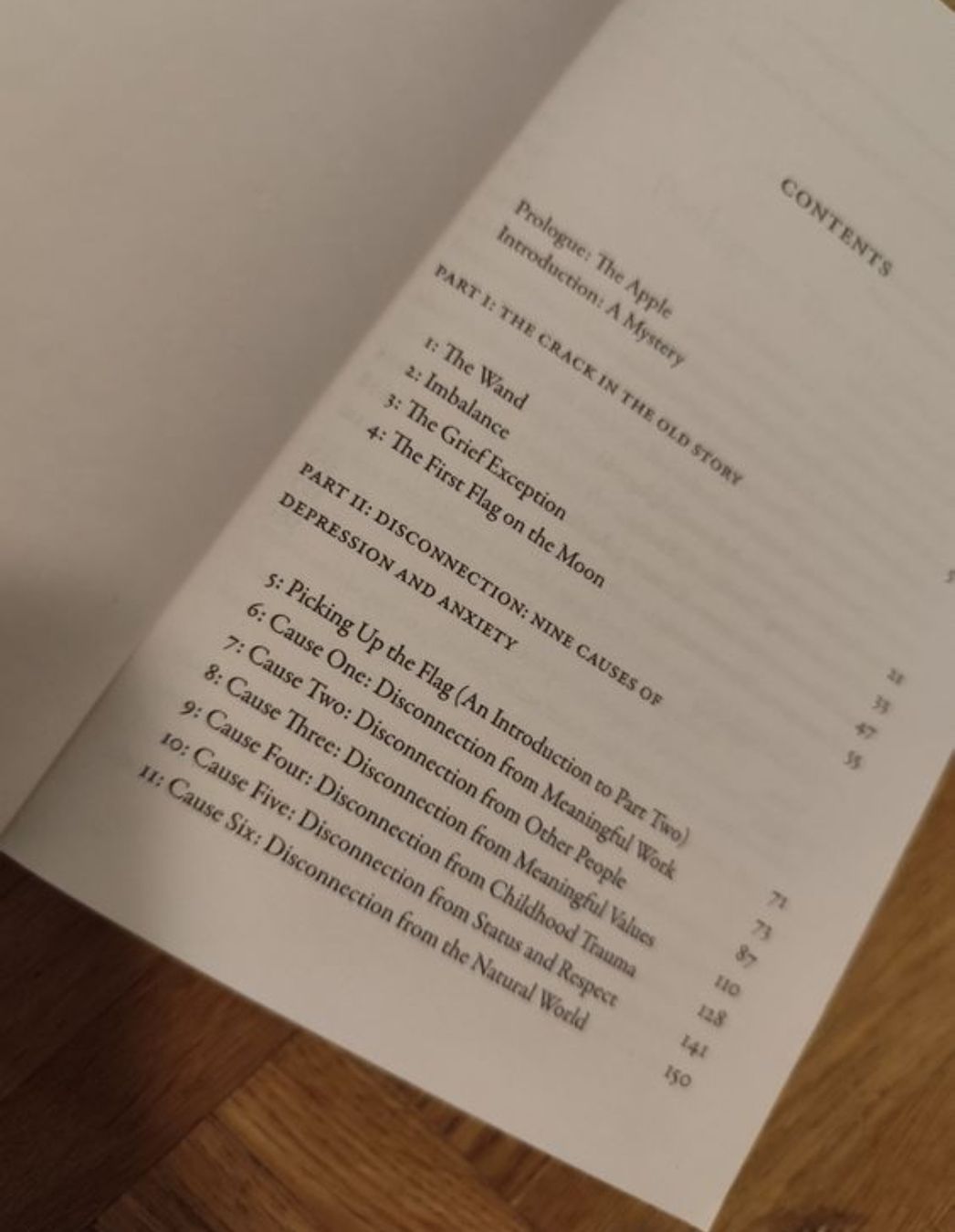 Libri: Lost Connections: Find Hope and End Depression – Usato da Mägenwil venduto da VintageGirly 4