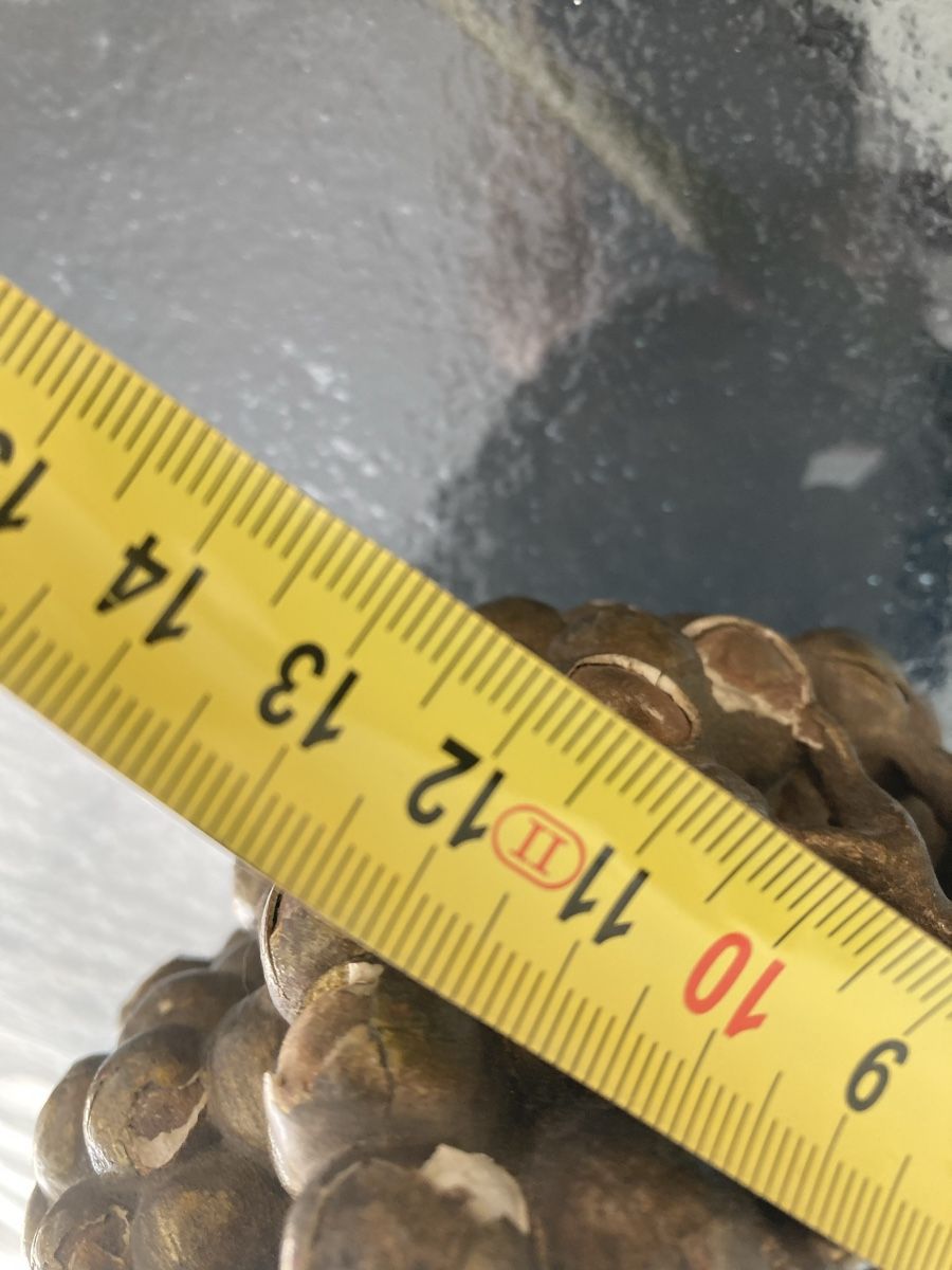 Statuette: Wunderbare antike grosse Traube, Holz blattvergoldet – Usato da Zürich venduto da einefreude 7
