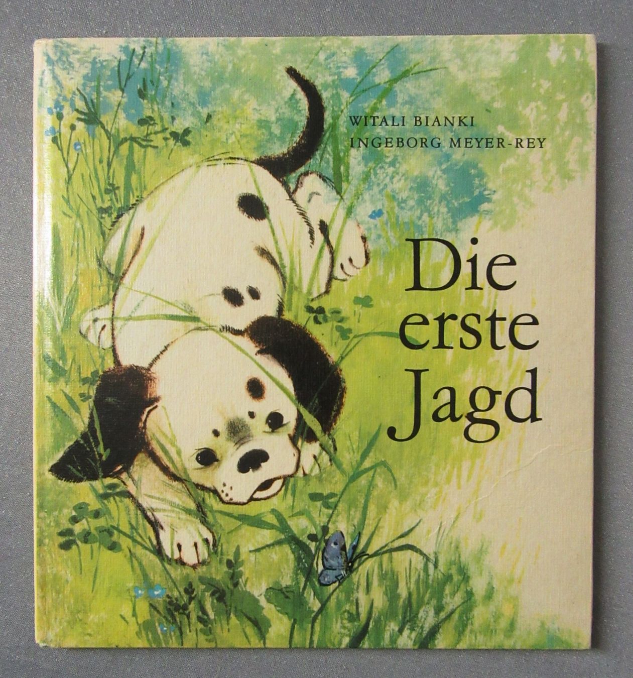 Libri: Die erste Jagd - Hundegeschichte – Usato da Auenstein venduto da Padabimbim