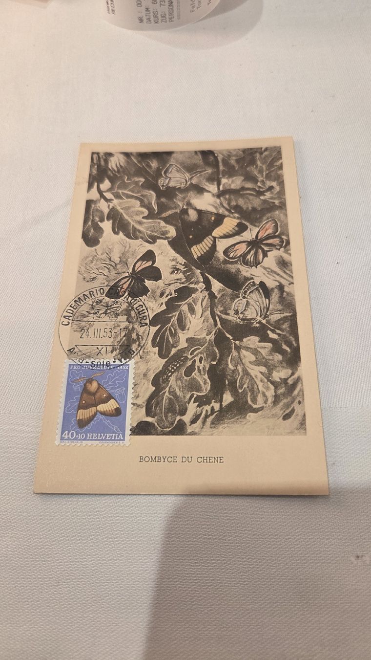 Tutti i francobolli: 1952 Maximumkarte Pro Juventute 40 Rp. – Usato da Arni AG venduto da Moth68