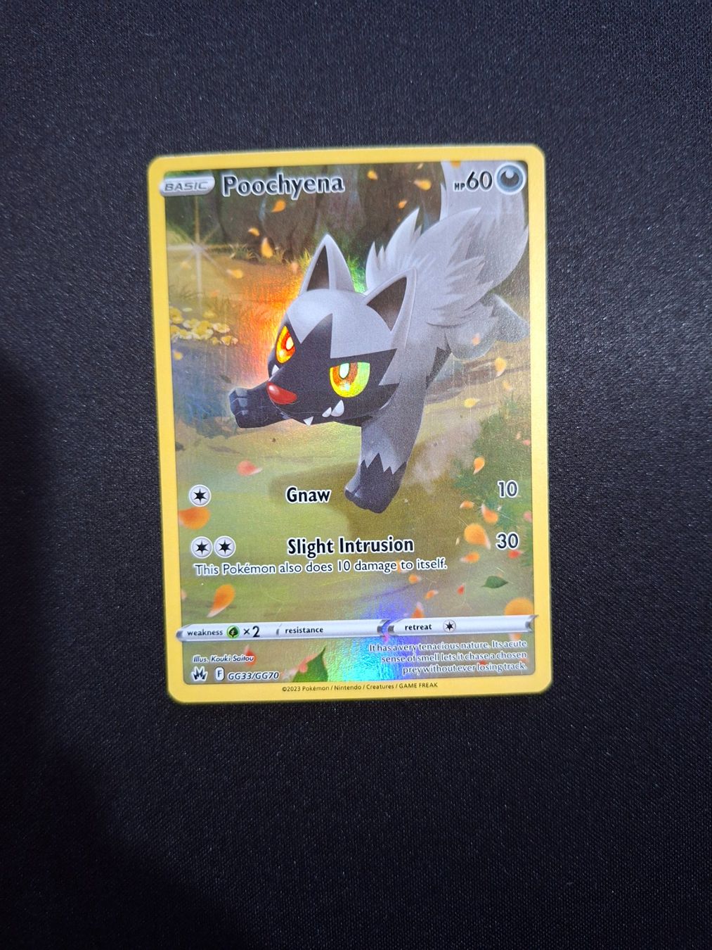 Pokémon Sammelbilder & Trading cards: Pokémon LOT 5x AR 2022-2025 – Gebraucht aus Valeyres-sous-Rances von gegg 3