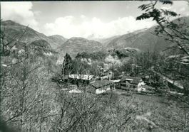 Arcegno