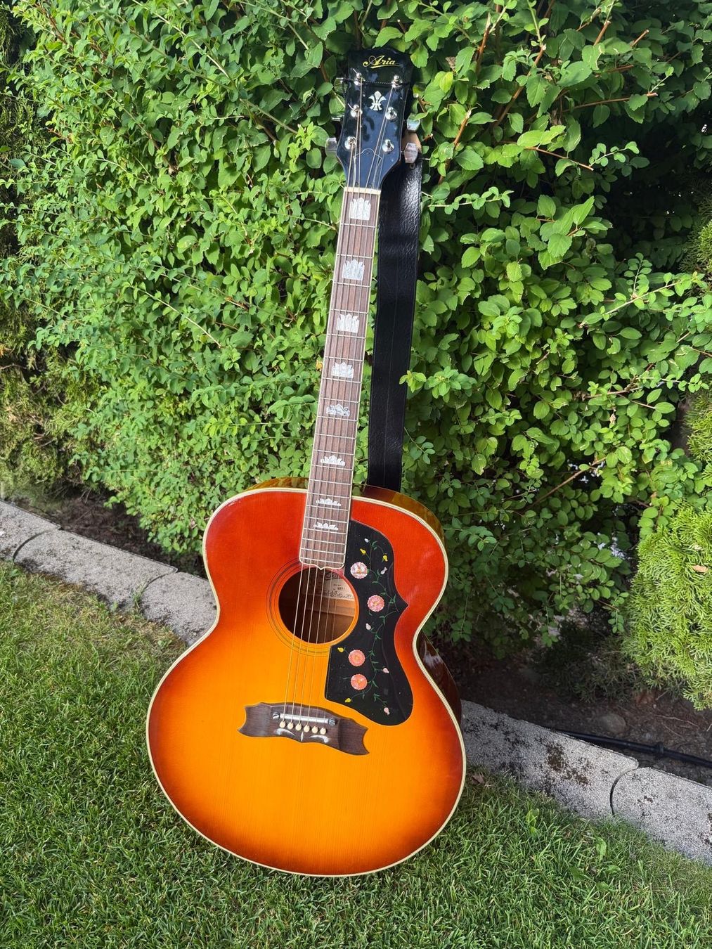 Aria Strumenti musicali: Guitare sèche Aria – Usato da Haute-Nendaz venduto da mey_nvw7 3