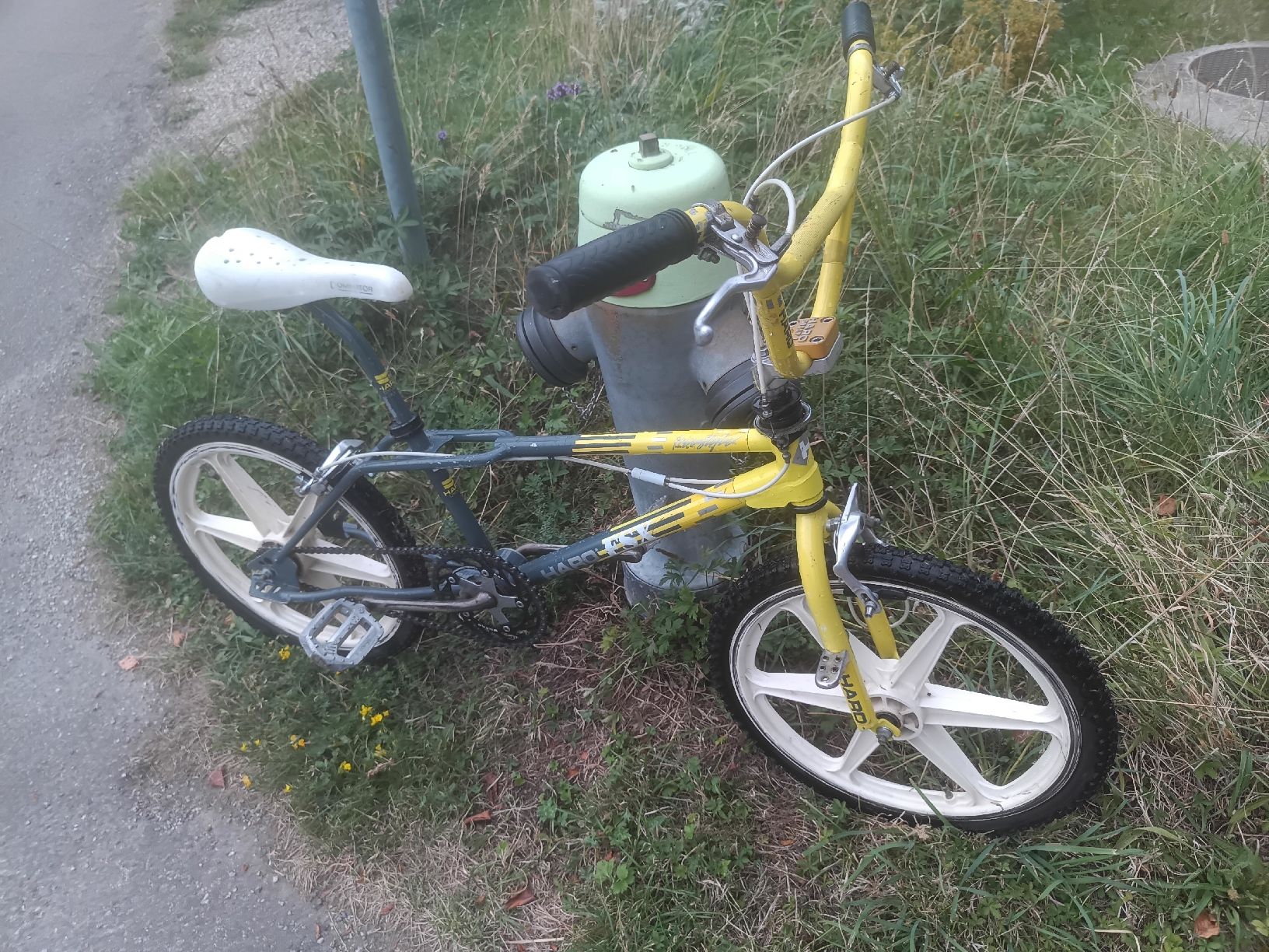 Biciclette: Haro FSX 1988 Oldschool BMX  – Usato da Wädenswil venduto da Mistamovie72