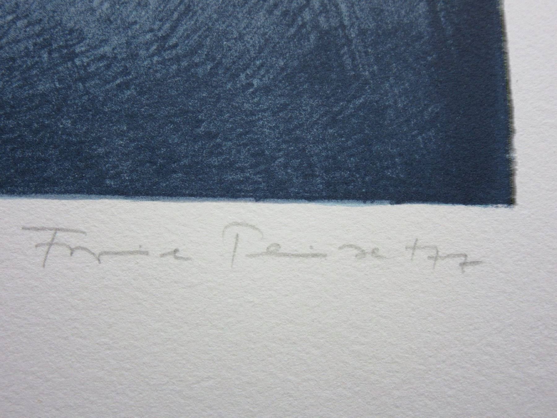 Grafiken & Lithographien: PEISERT FRIEDEL LITHOGRAPHIE SIGNIERT NUMMERIERT – Gebraucht aus Gersau von kunst-online 2