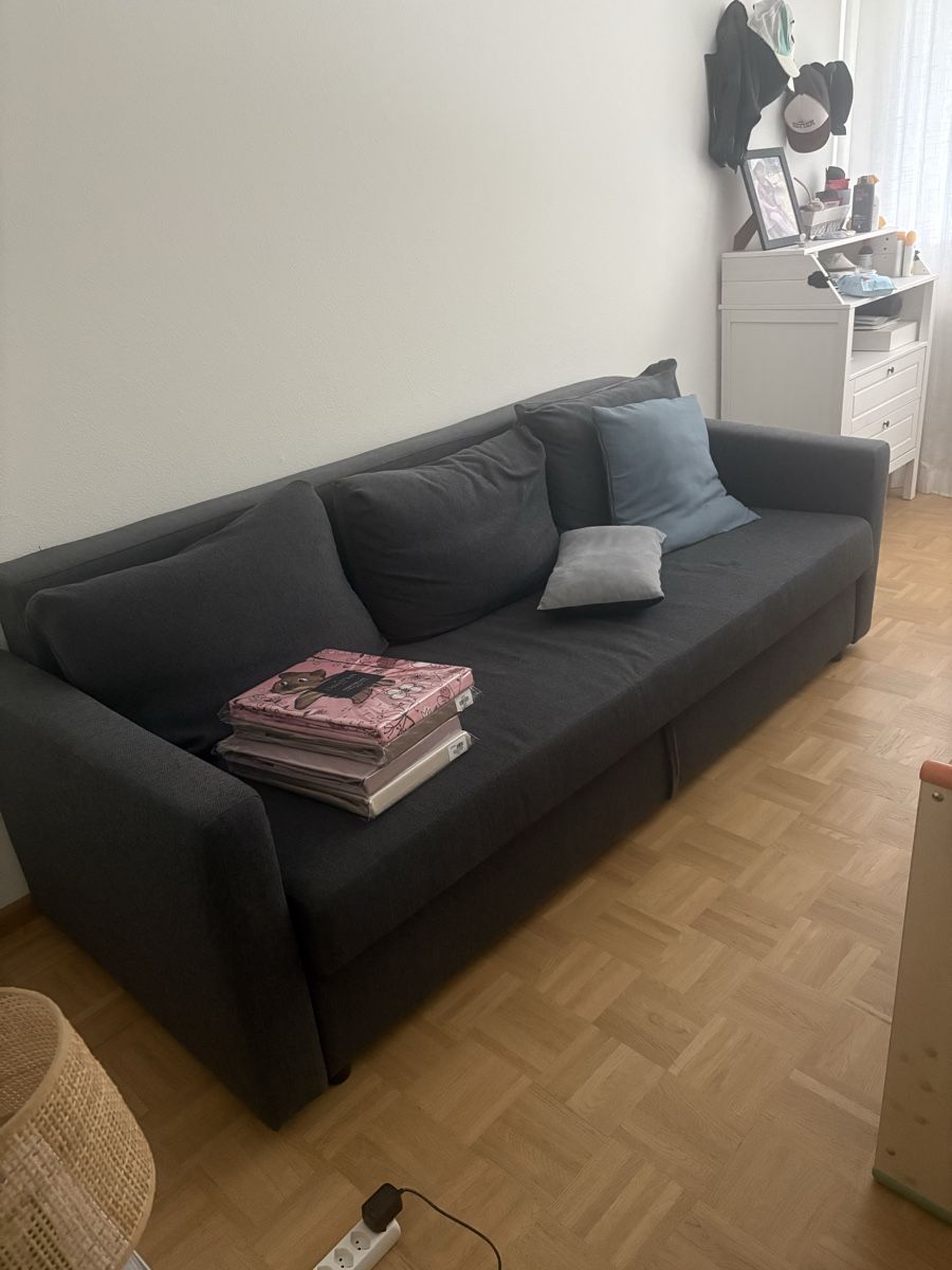 Divani: Schlafsofa  – Nuovo (secondo la descrizione) da Allschwil venduto da duc_gpp7 1