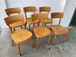 6er set Horgen Glarus Stühle Beizenstühle 