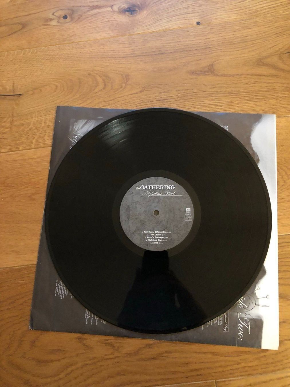 Dischi in vinile: The Gathering - Nighttime Birds – Usato da Liebefeld venduto da type013 5