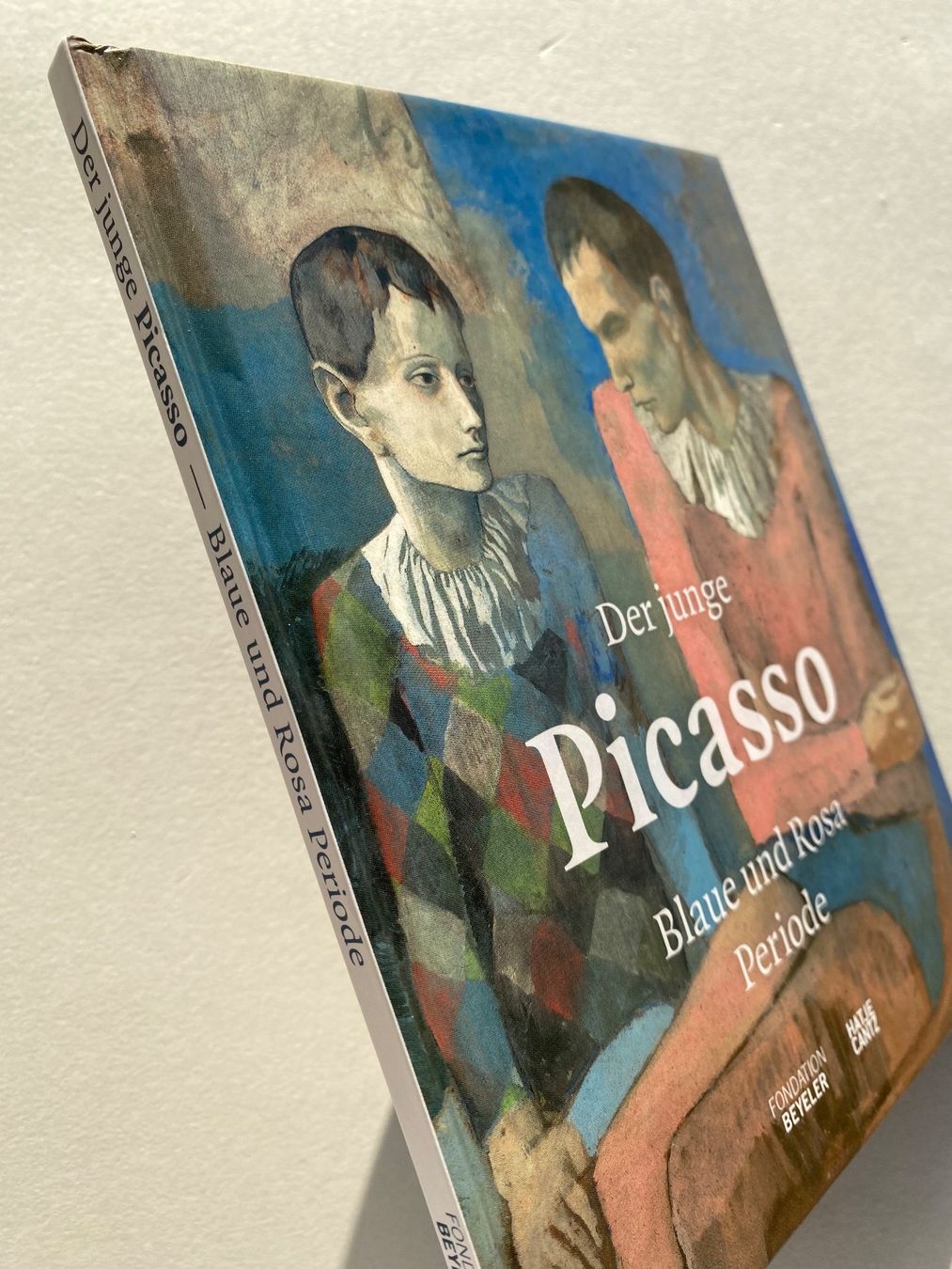 Libri: Der junge Picasso - Blau & Rosa Periode - Kunstbuch – Usato da Zürich venduto da lesgarcons 5