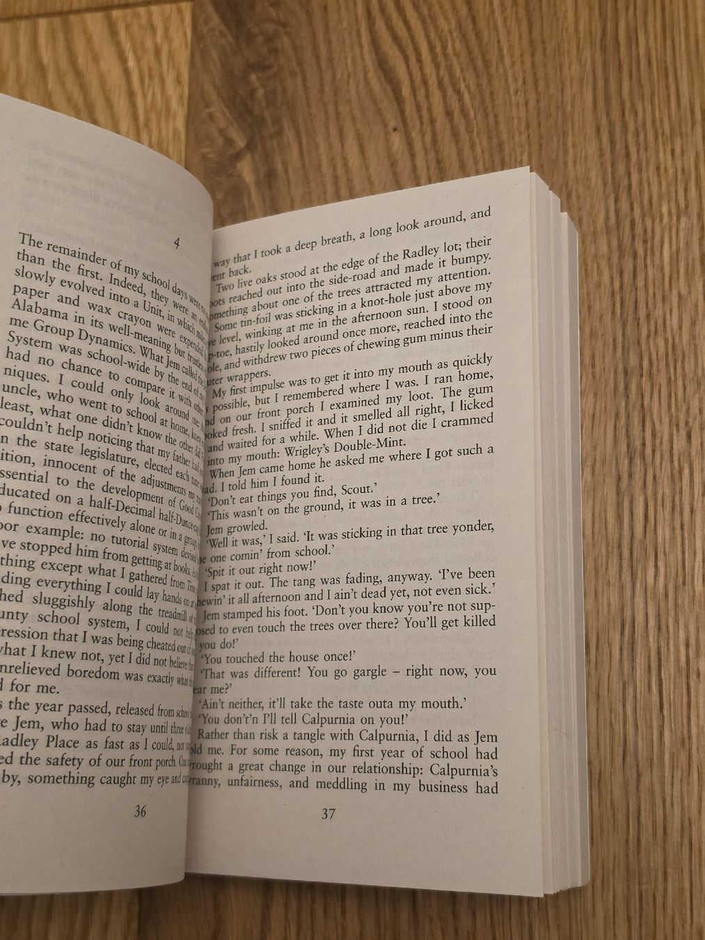 Bücher: To Kill a Mockingbird, Harper Lee – Neu (gemäss Beschreibung) aus Schliern b. Köniz von Zelda_adlez 3