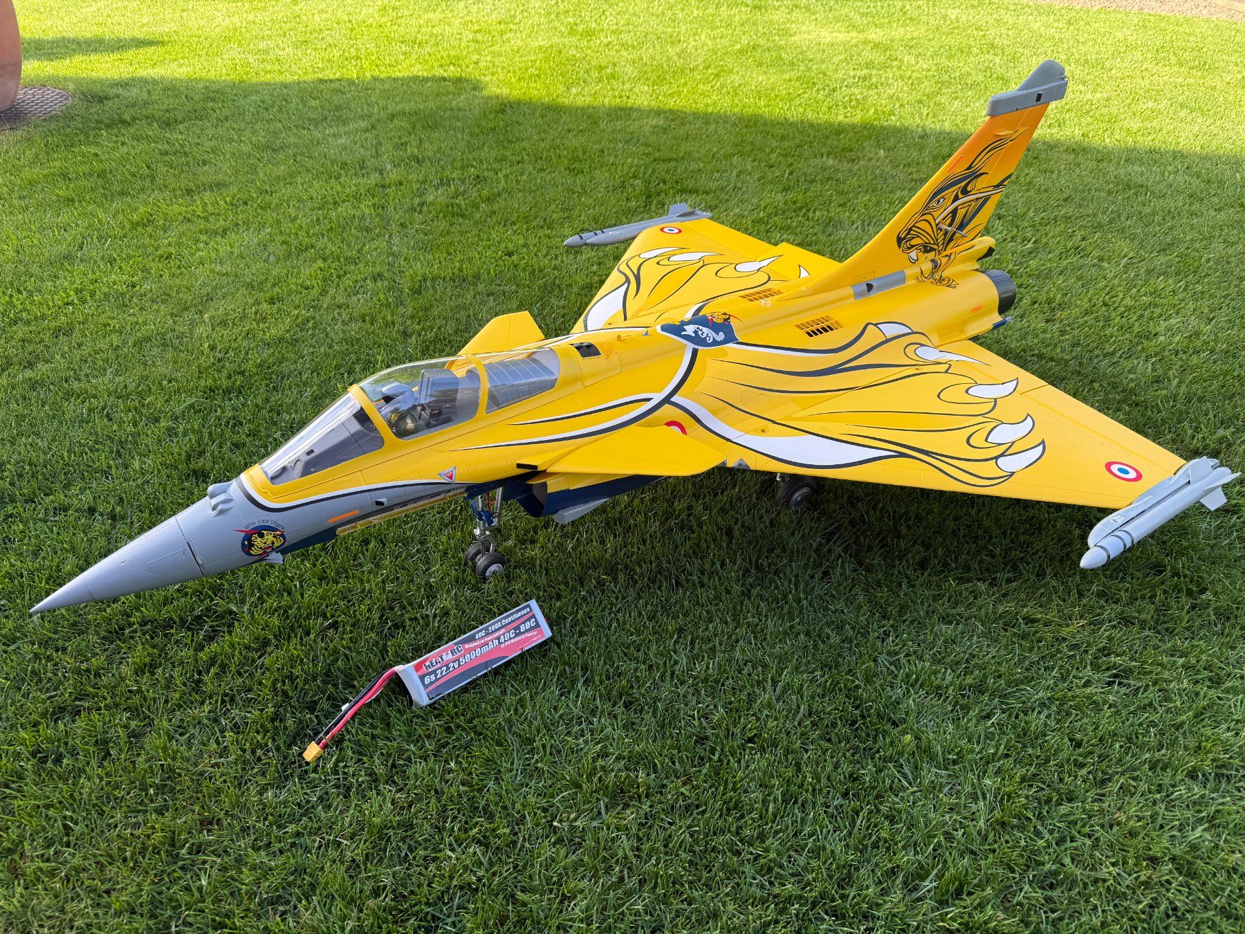 FMS Modellismo RC: FMS EDF Jet 80mm Dassault Rafale 974mm – Nuovo (secondo la descrizione) da Hildisrieden venduto da mars3000