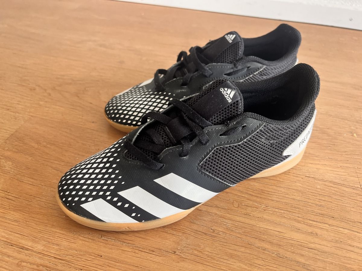 Adidas Herrenschuhe: Adidas Predator Hallenschuhe / Gr 36 – Gebraucht aus Kloten von sanibunny 1