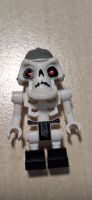 Lego Ninjago Skeleton