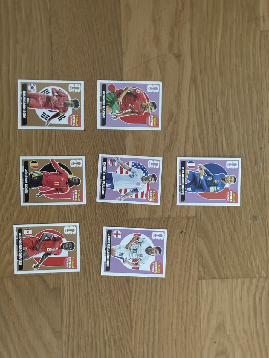 Panini Carte collezionabili: Panini Extra Stickers – Nuovo (secondo la descrizione) da Basel venduto da BellaTorres 1
