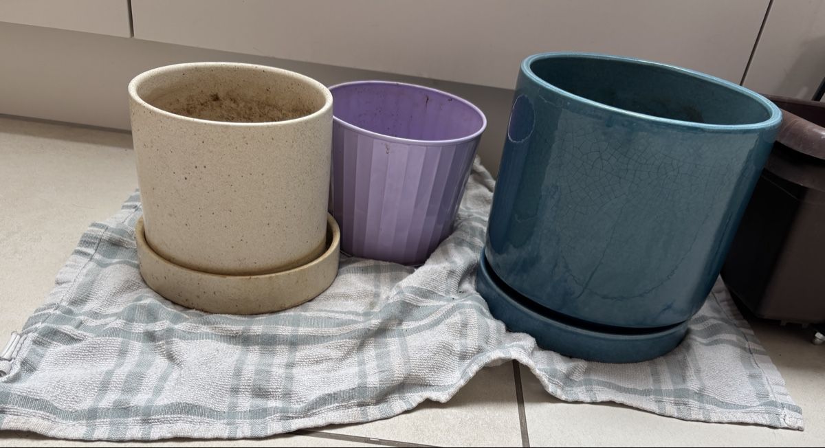 Vasi per fiori: Plant pots – Usato da Egg b. Zürich venduto da jen_hm7m