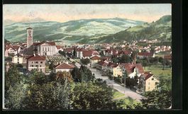 Wattwil, Ortsansicht aus der Vogelschau