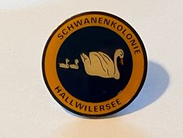 1 Pin Schwanenkolonie Hallwilersee