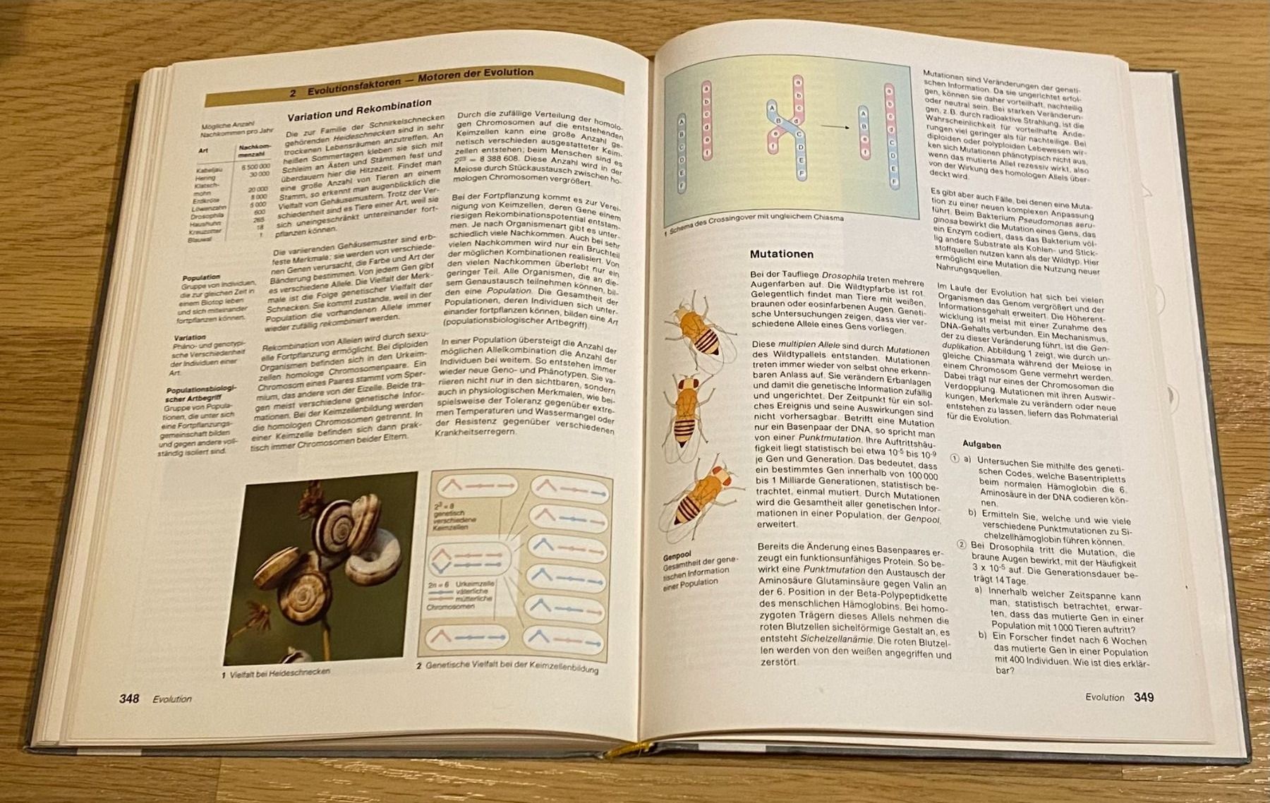 Libri: Natura Buch – Usato da Emmenbrücke venduto da Florentina27 4