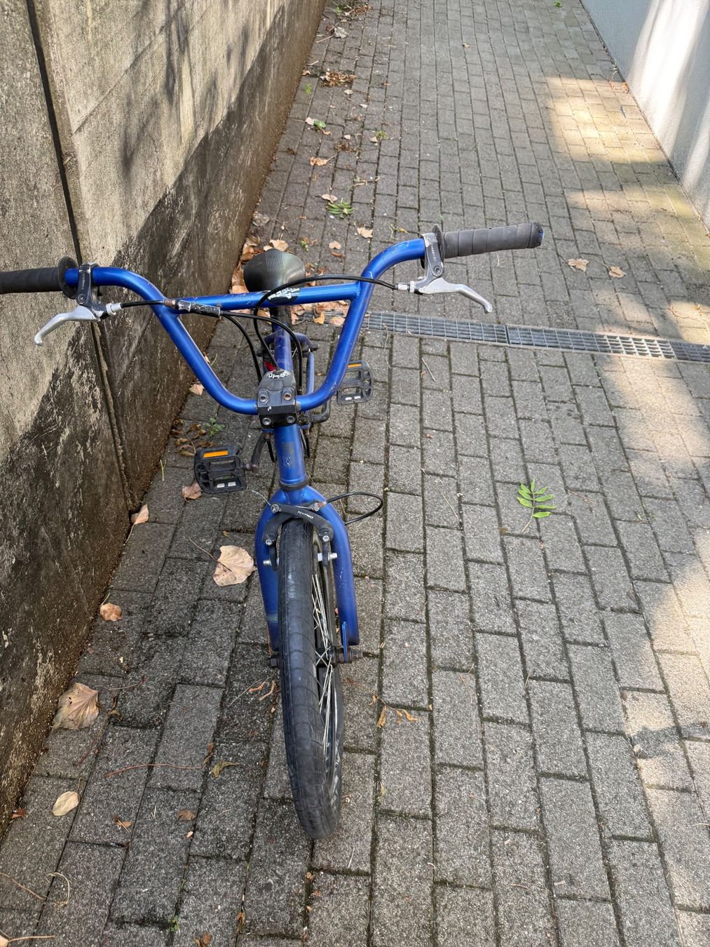 Velos: BMX – Defekt aus zürich von Terzosogno 1