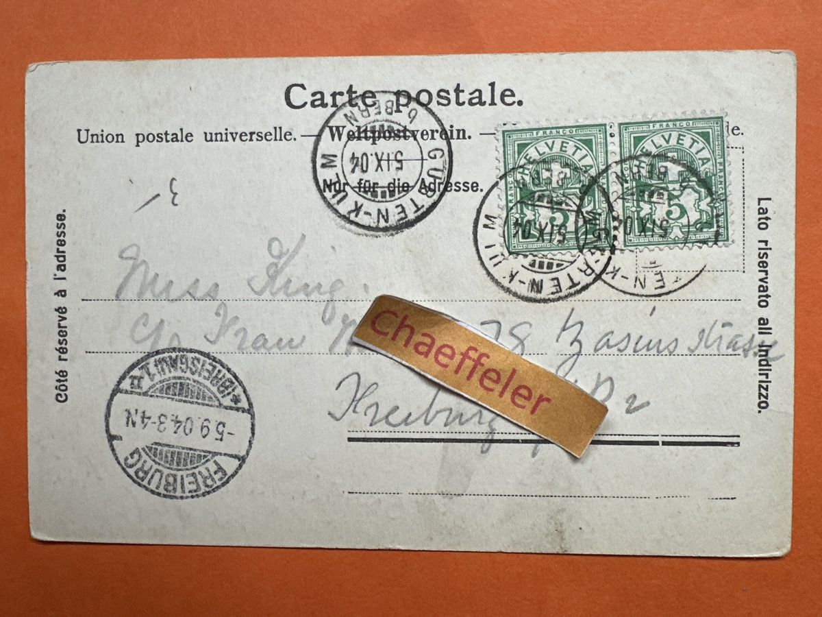 Cartoline postali: 1904 Bern von Gurten gesehen  – Usato da Zürich venduto da Chaeffeler 1