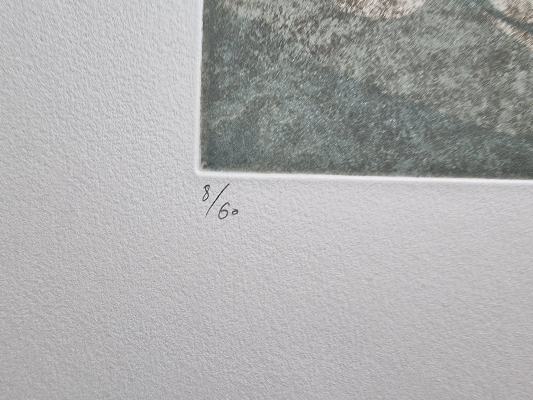 Grafica & Litografie: ROGER GERSTER RADIERUNG SIGNIERT NUMMERIERT – Usato da Gersau venduto da kunst-online 3