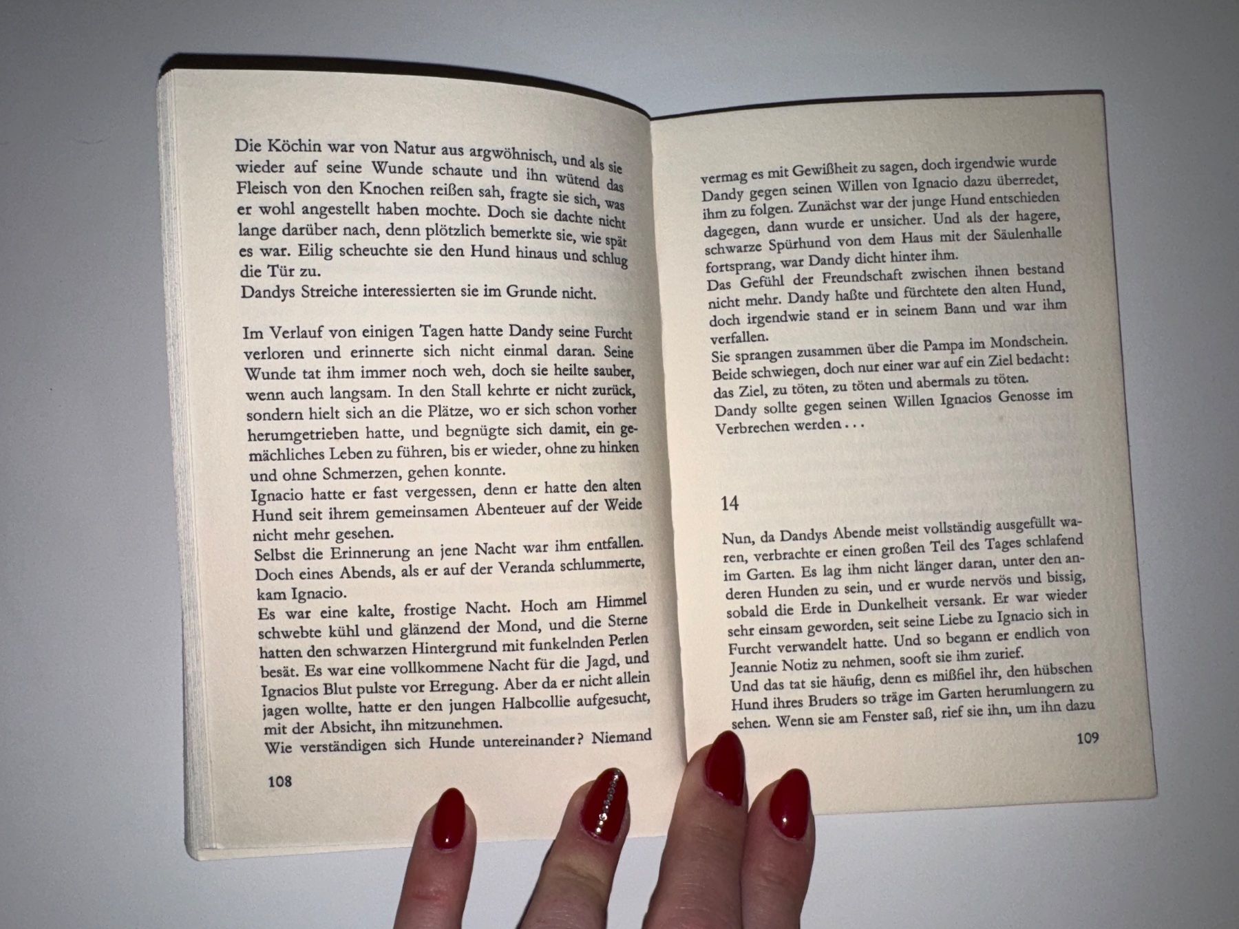 Libri: Buch: Helen Griffith, Wild und frei – Usato da Grosswangen venduto da Second_hand_paradise 5