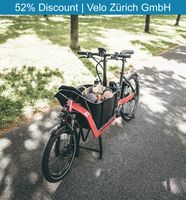 Riese & Müller Packster 40 vario