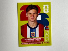 Panini Sticker David Moller Wolfe FIFA World Cup 2026 NOR 7