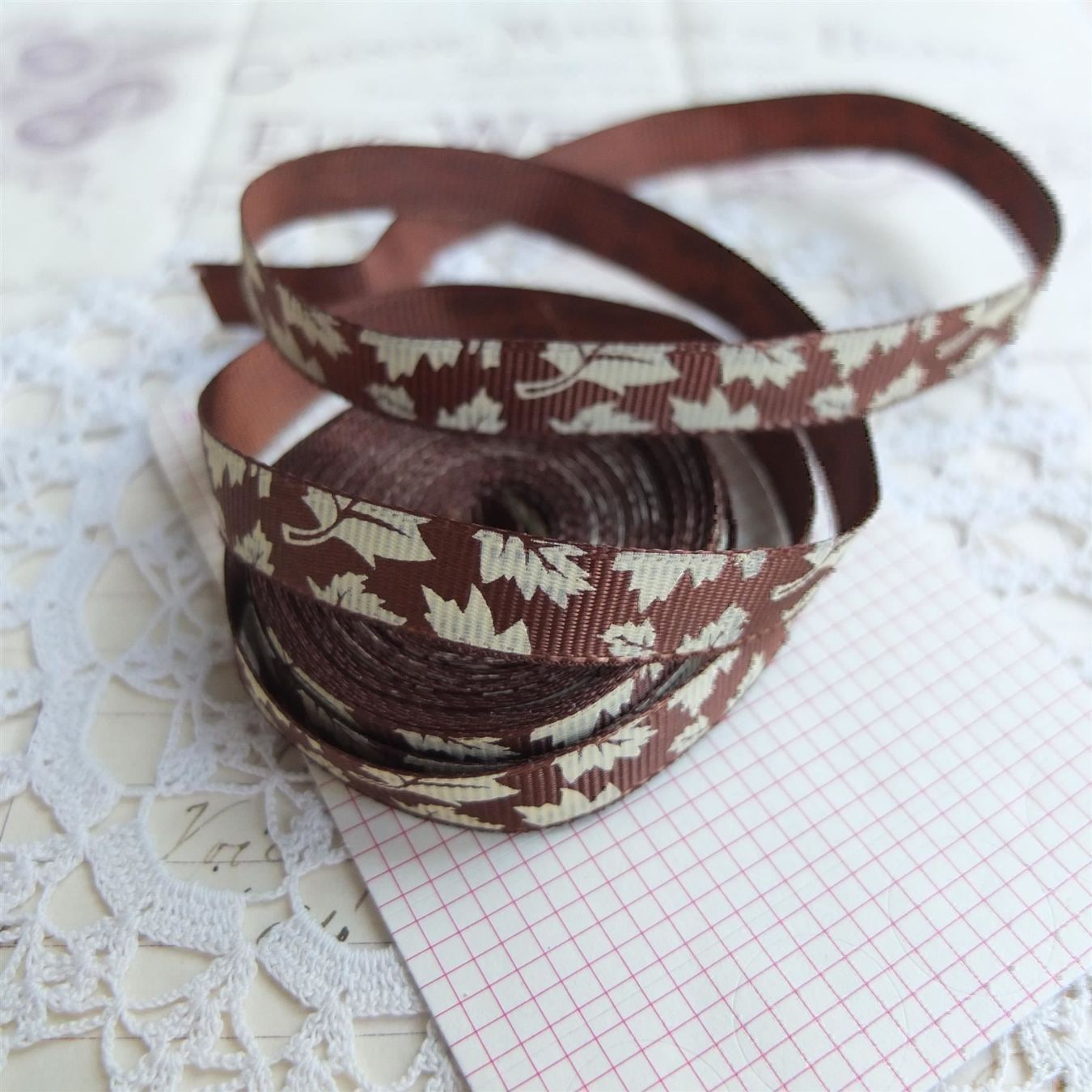 Dekobänder: Band Ruban Grosgrain Blatten braun beige 4M – Neu und originalverpackt aus Meyrin von laservette99