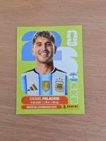 Panini Fifa ARG 11