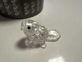 Wunderschönes Swarovski Sammlerstück: Biber-Baby (sitzend