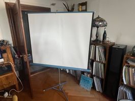 Leinwand Da-Light für Heimkino, Beamer, Dia