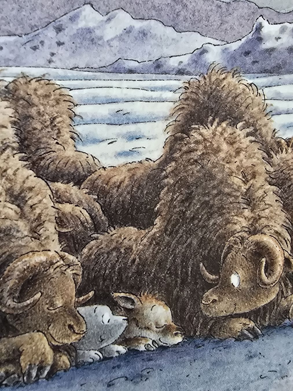 Bücher: Kleiner Eisbär  Sammelband, 5 Abenteuer mit Lars – Gebraucht aus Hedingen von mickway 3