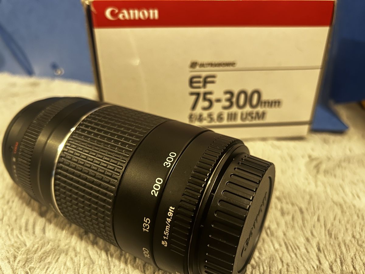 Canon Objectifs: Canon EF 75-300 mm USM Objektiv – D'occasion à Winterthur par SoarEagle 6