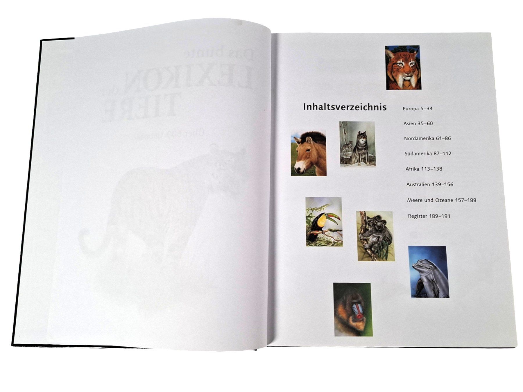 Libri: SCHMID Buch Lexikon der Tiere – Usato da Wil SG venduto da Restwert_Wil 3