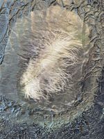 Original Bild ‚Federleicht‘ mixmedia